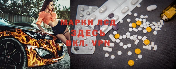 ПСИЛОЦИБИНОВЫЕ ГРИБЫ Грязовец
