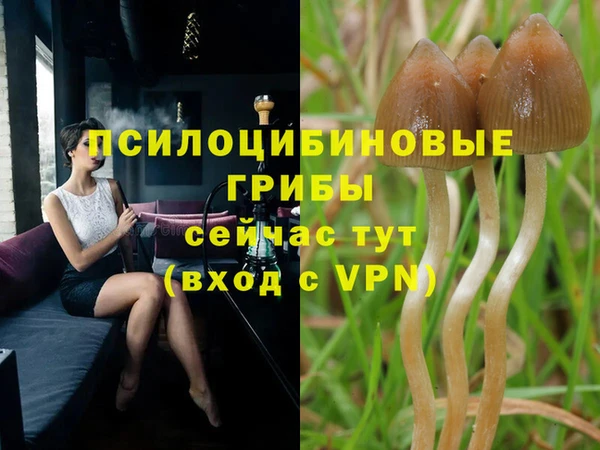 2c-b Бронницы
