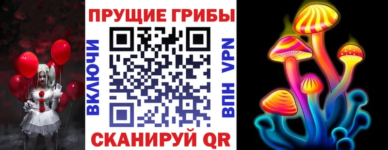 сколько стоит  Гатчина  Псилоцибиновые грибы мицелий 