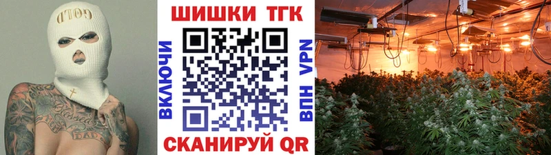 Марихуана сатива Гатчина